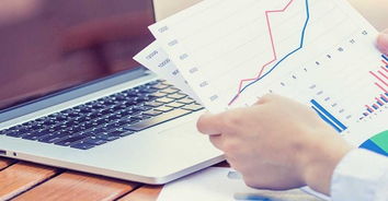 重慶專業(yè)項(xiàng)目可行性研究報(bào)告編寫與信息咨詢服務(wù)